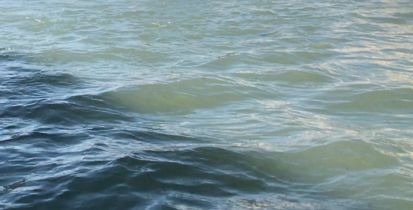 Aave Studio Architecture Venezia Venice